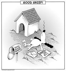 Property Tax Good Grief