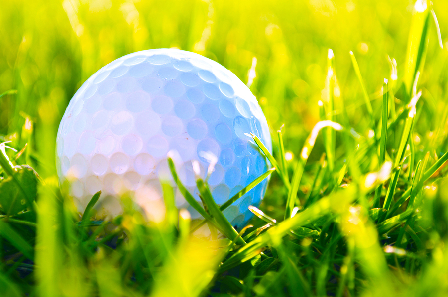 image of golf ball in grass